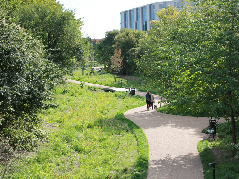 groendalen opland biodiversitet