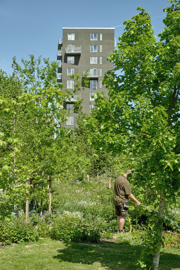 drift og pleje ørestad nord