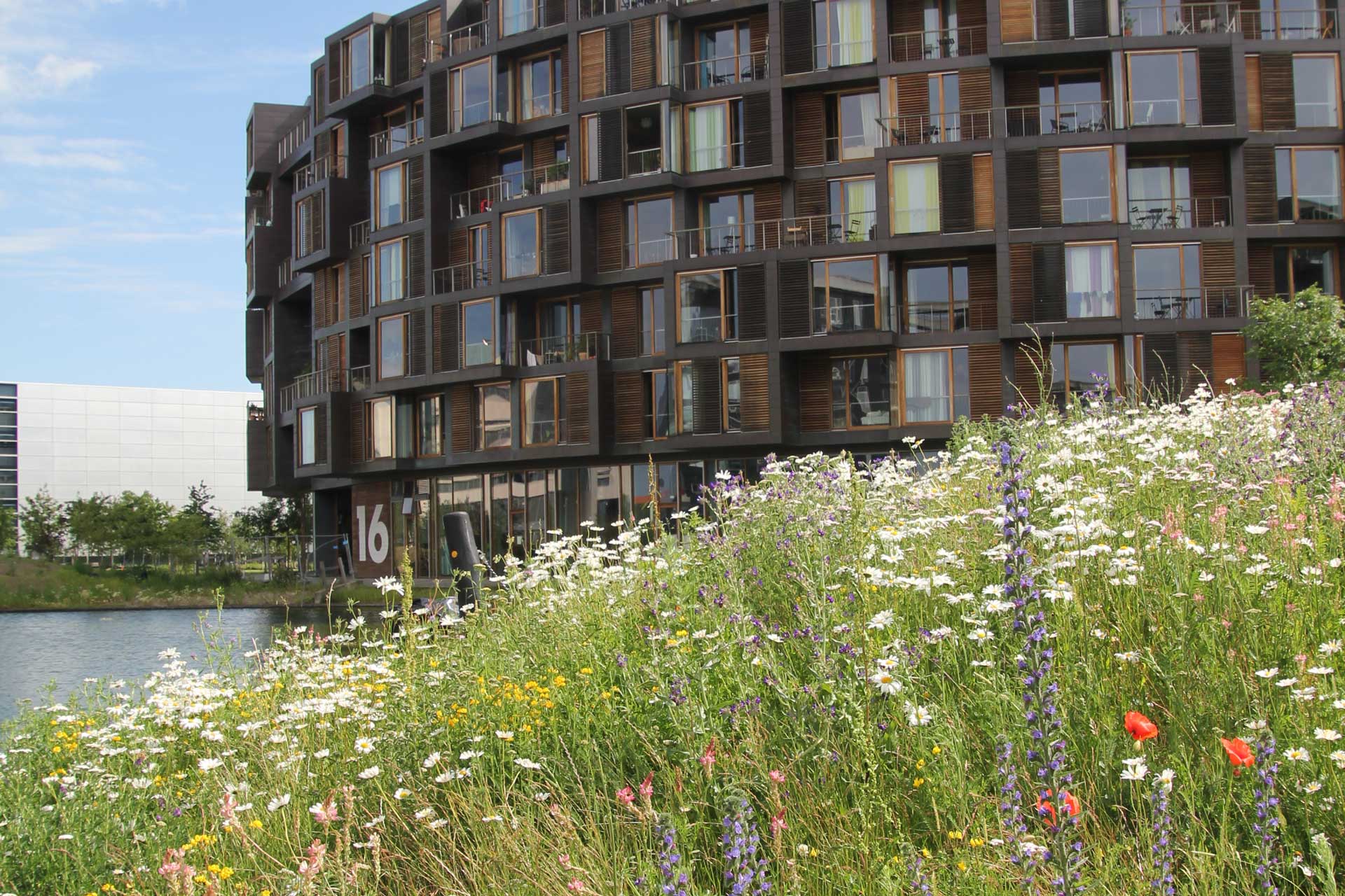 byvandring grønningen ørestad nord