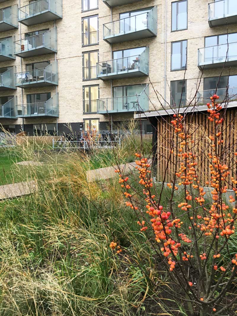 arenahaven gårdrum udeareal ørestad syd