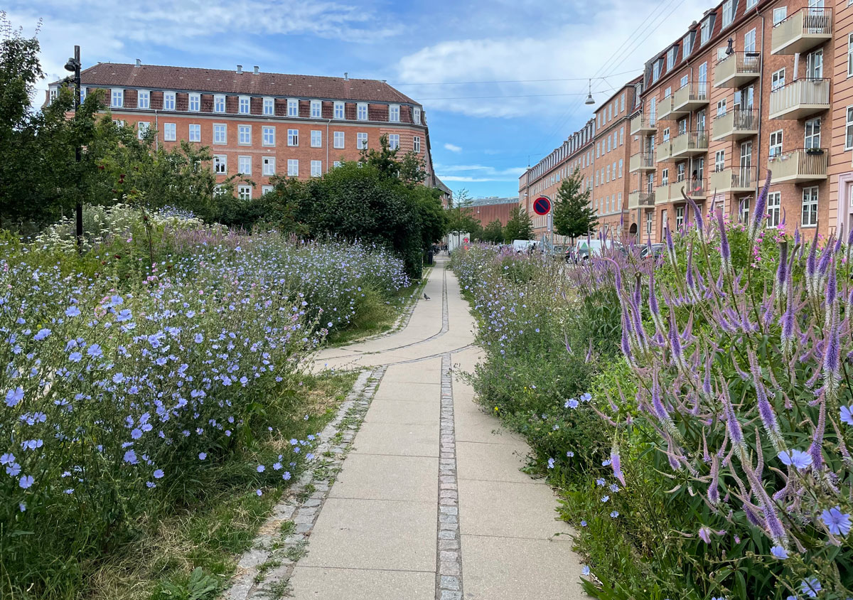 inspiration til begrønning vejbeplantning