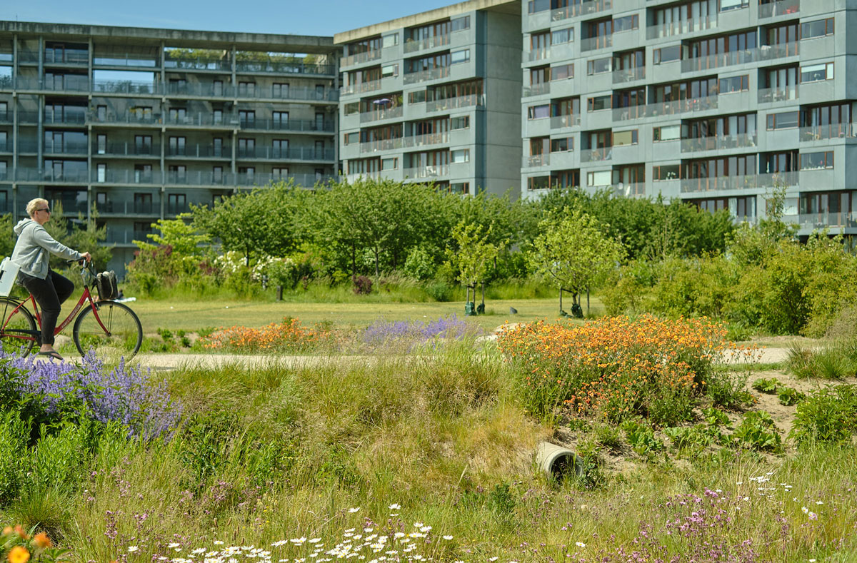 cirkularitet og biodiversitet