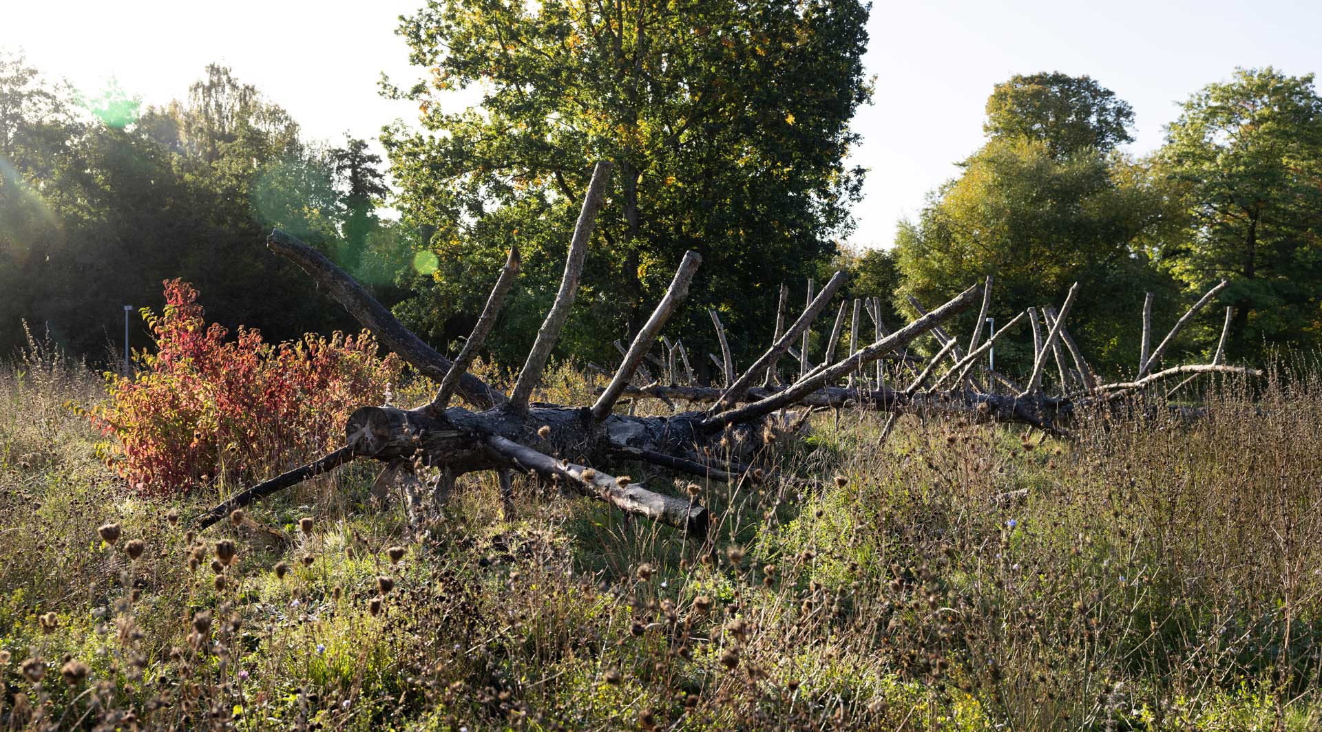 det regenerative landskab