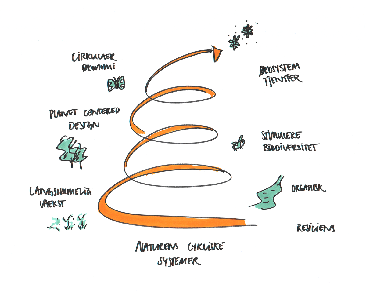 regenerativt loop