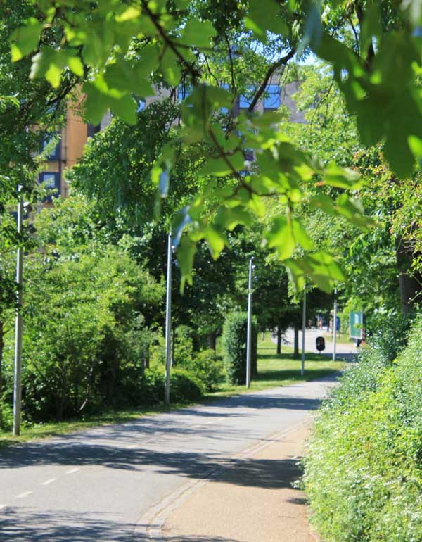 den grønne sti frederiksberg