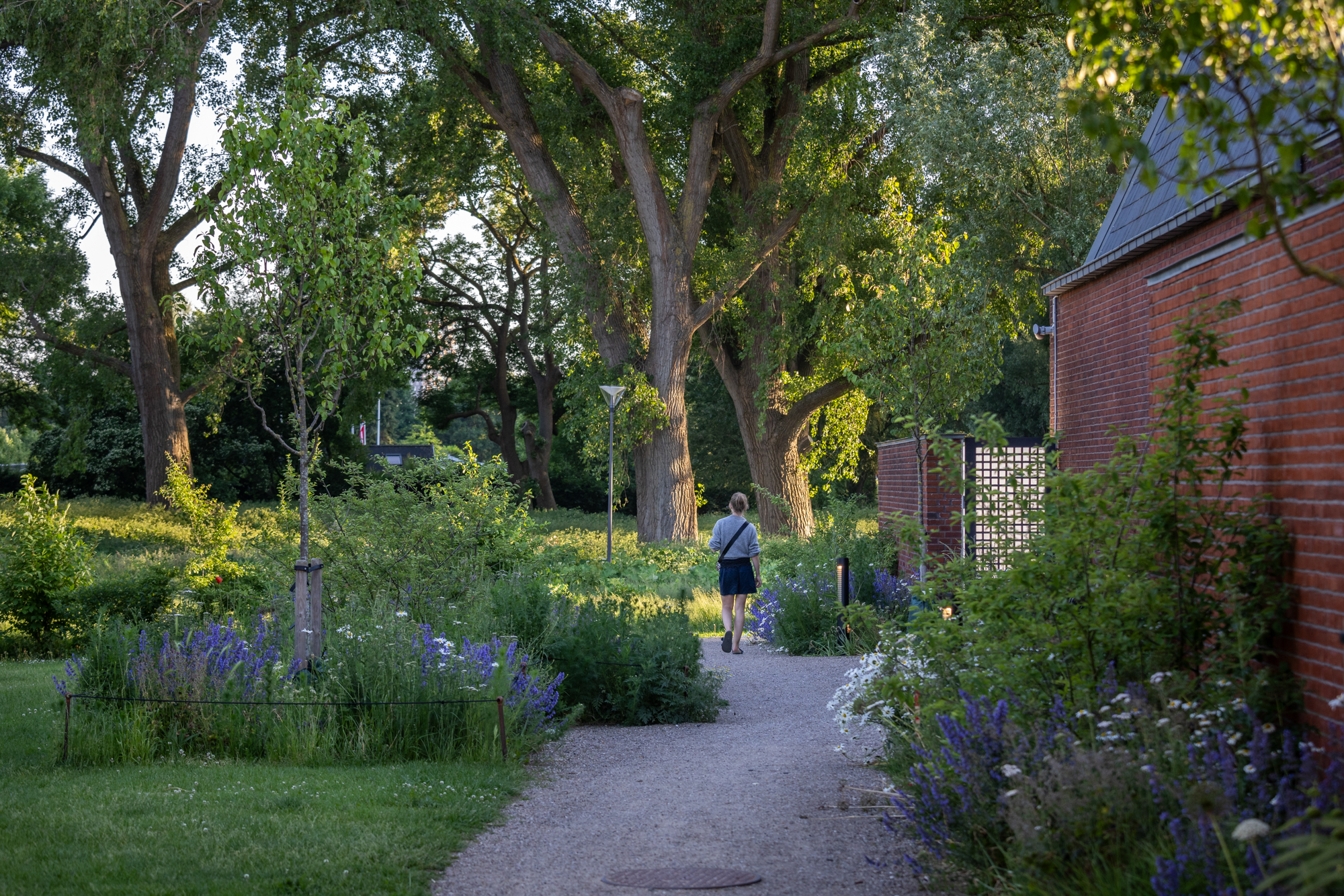 lundehustorvet ellipseformet plantebed